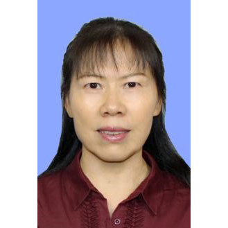 卫生健康信息技术专业委员会主任委员